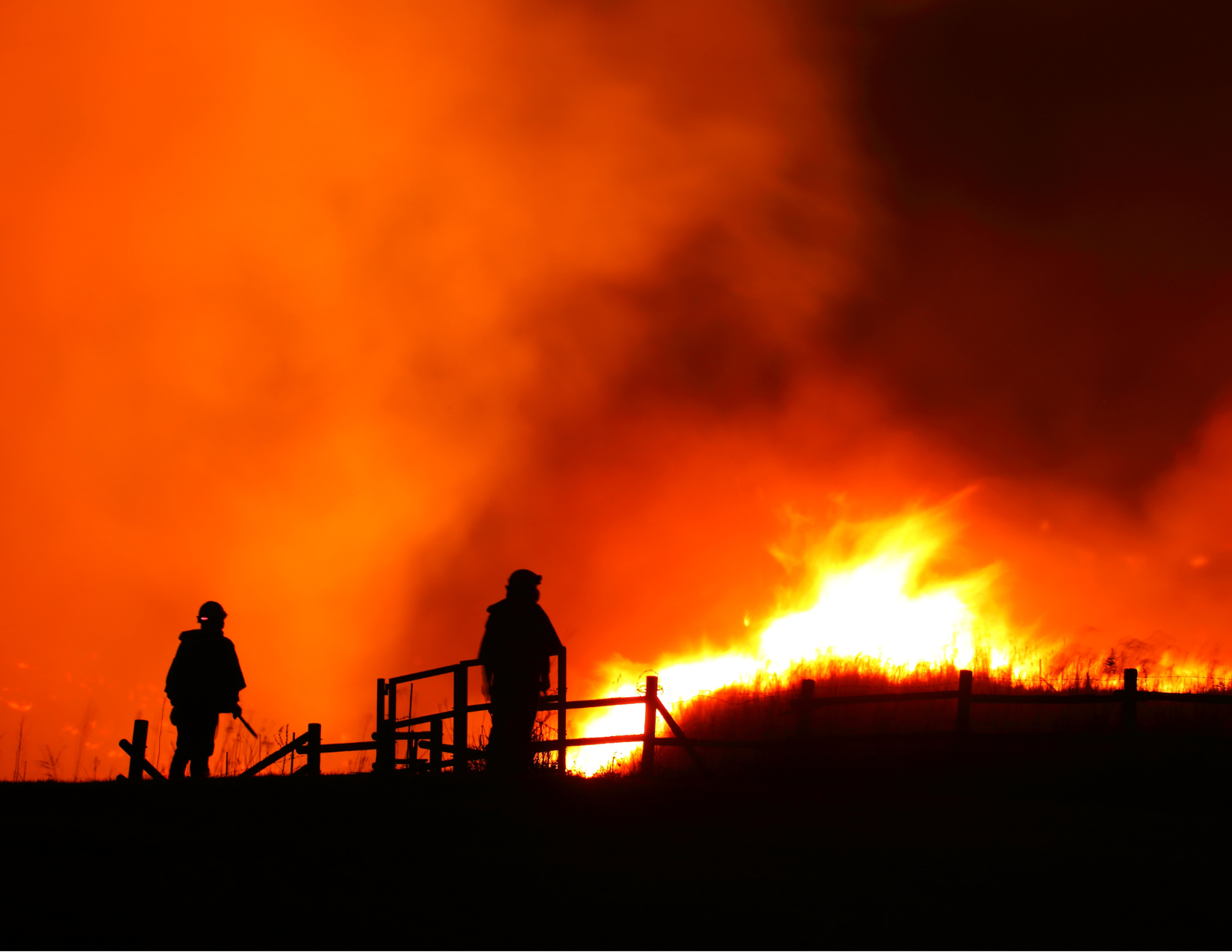 Preparing your Business and your Family for Wildfire Season